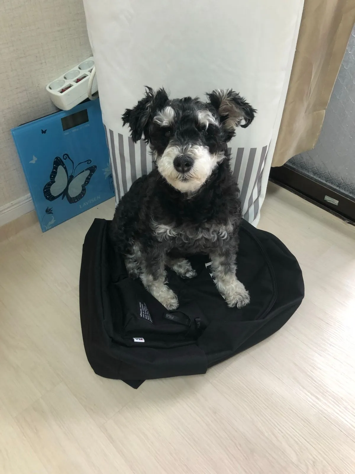 이미지 4
