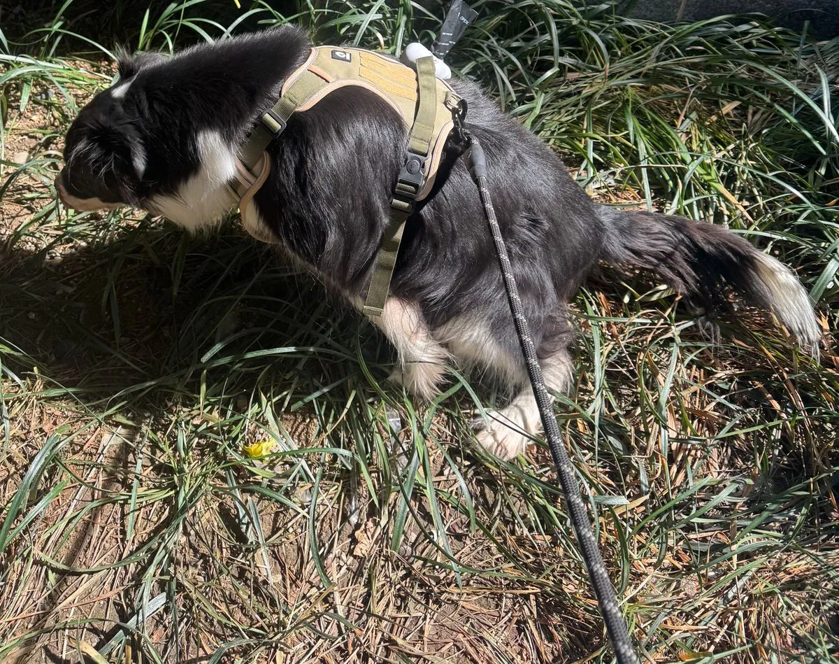 이미지 6