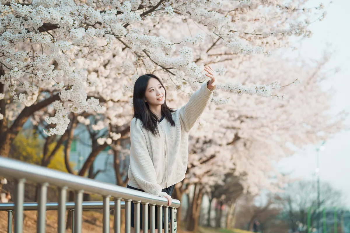 이미지 3