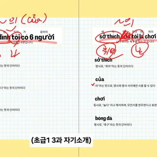 베트남어 온라인 전문레슨