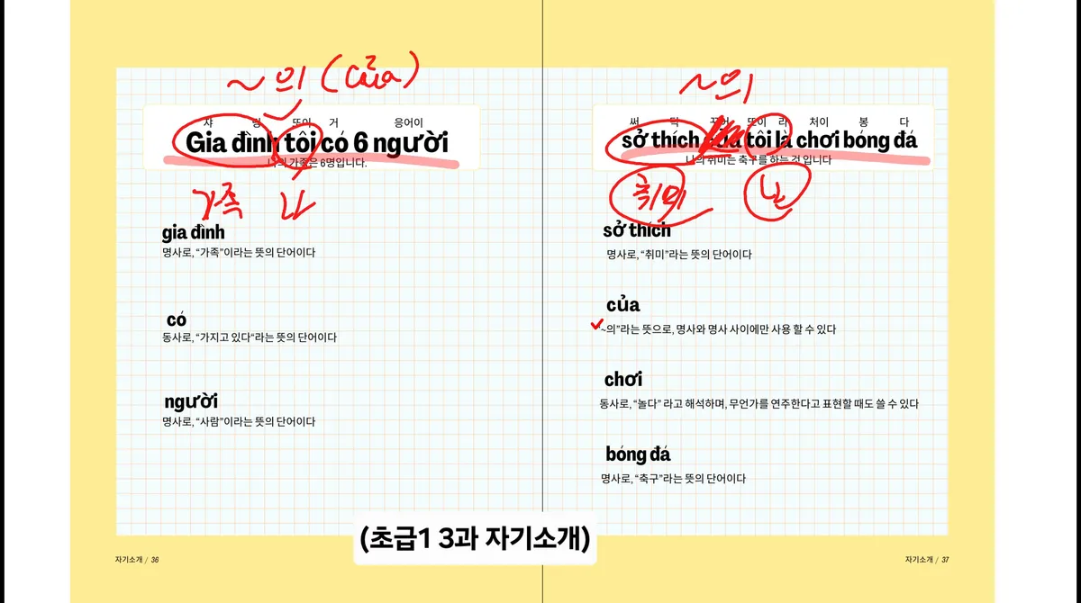 이미지 4
