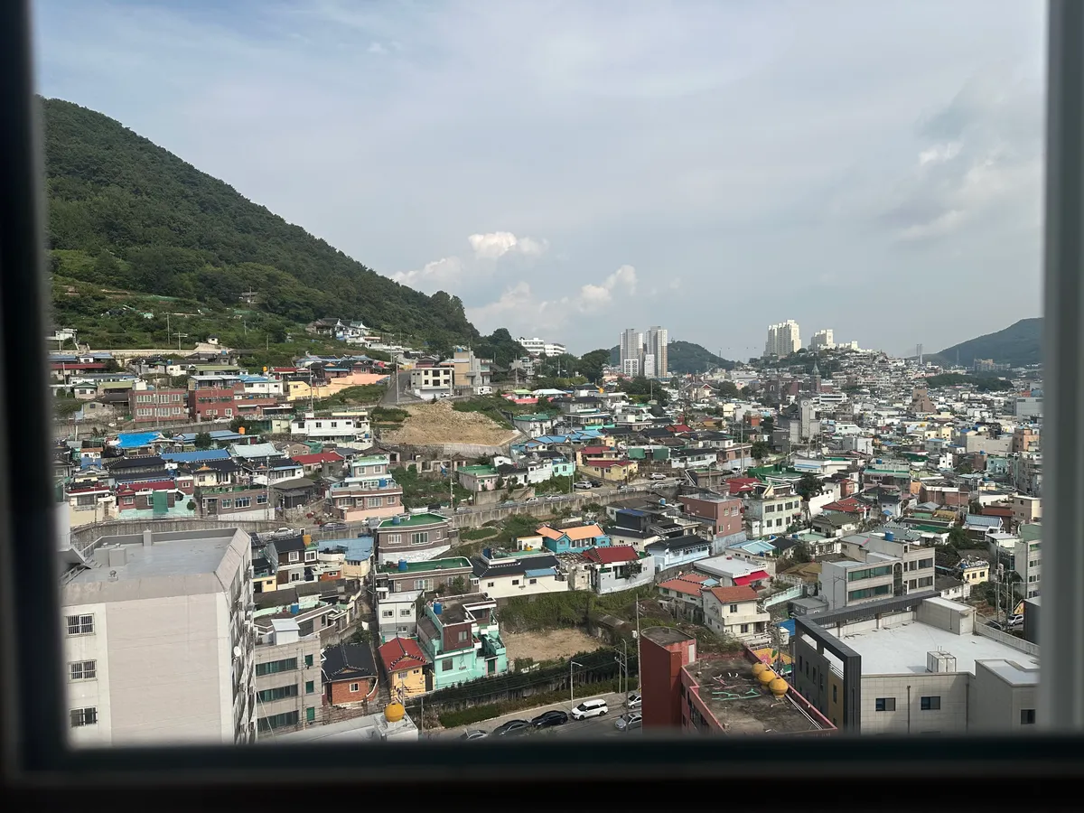 이미지 6