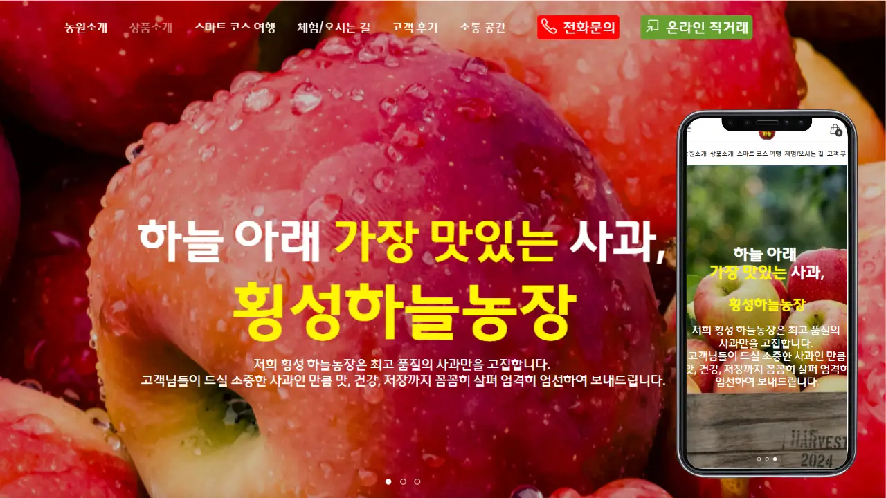 포트폴리오 이미지