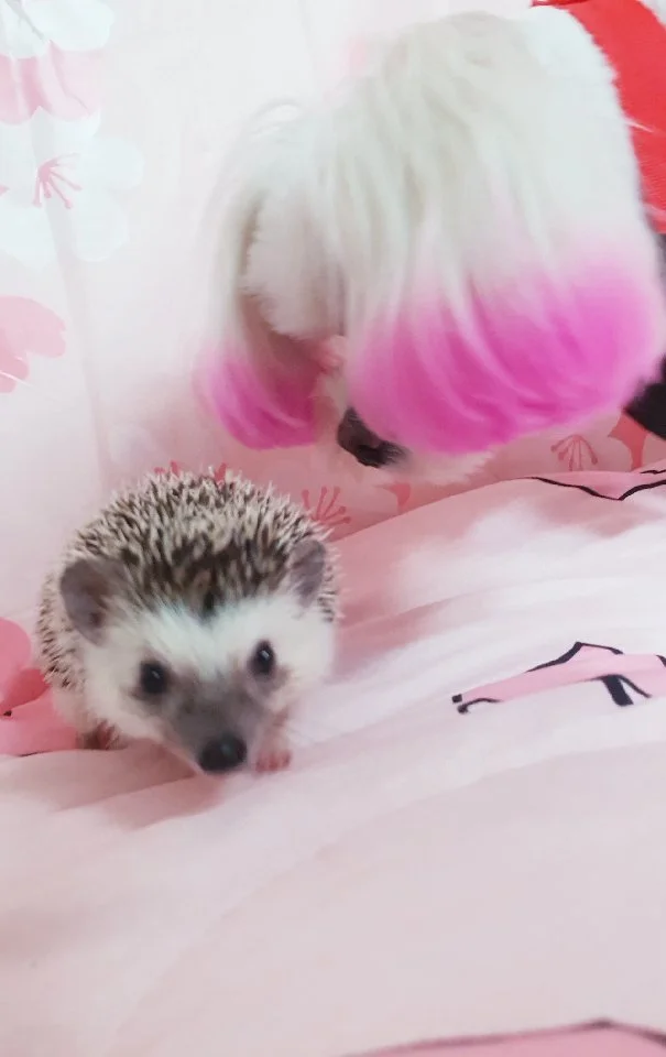 이미지 3
