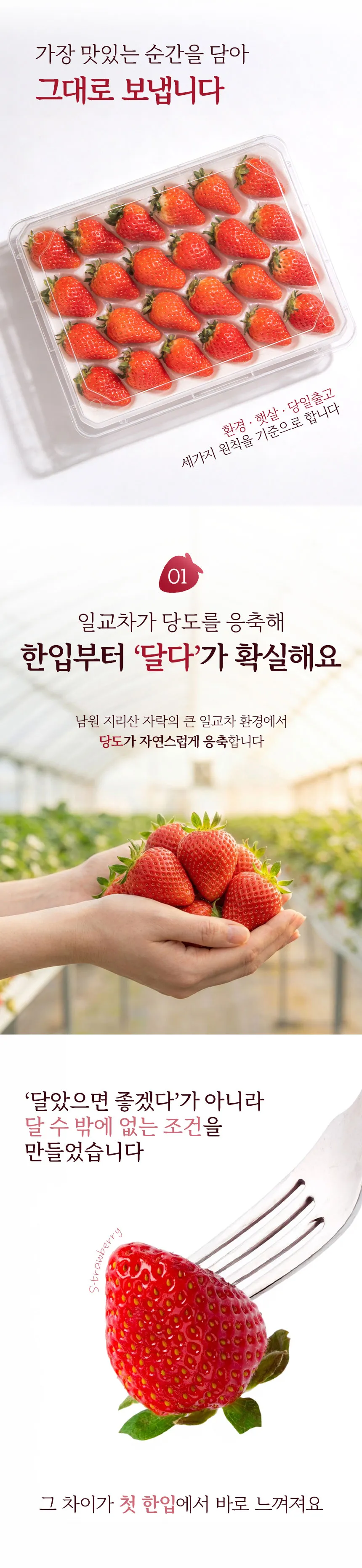 이미지 6