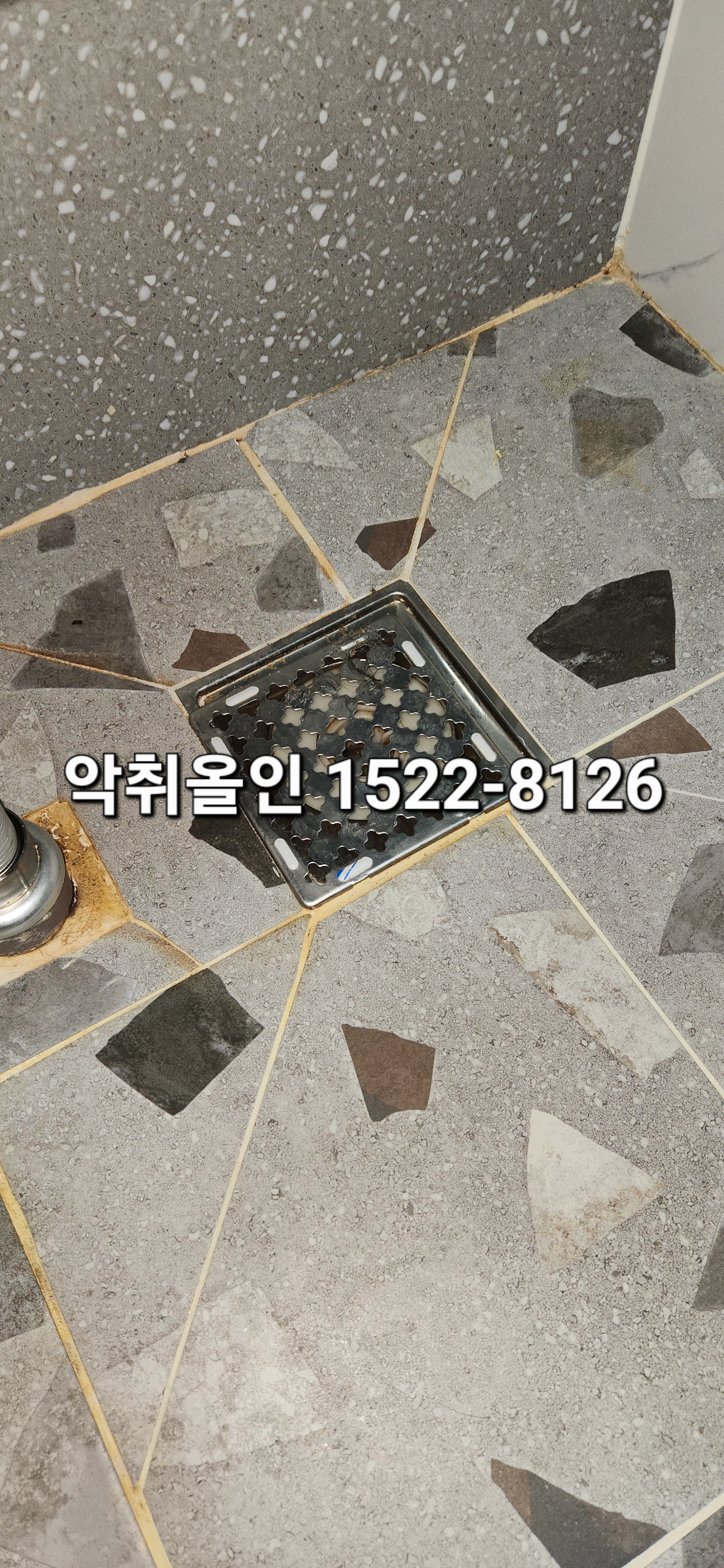 이미지 3