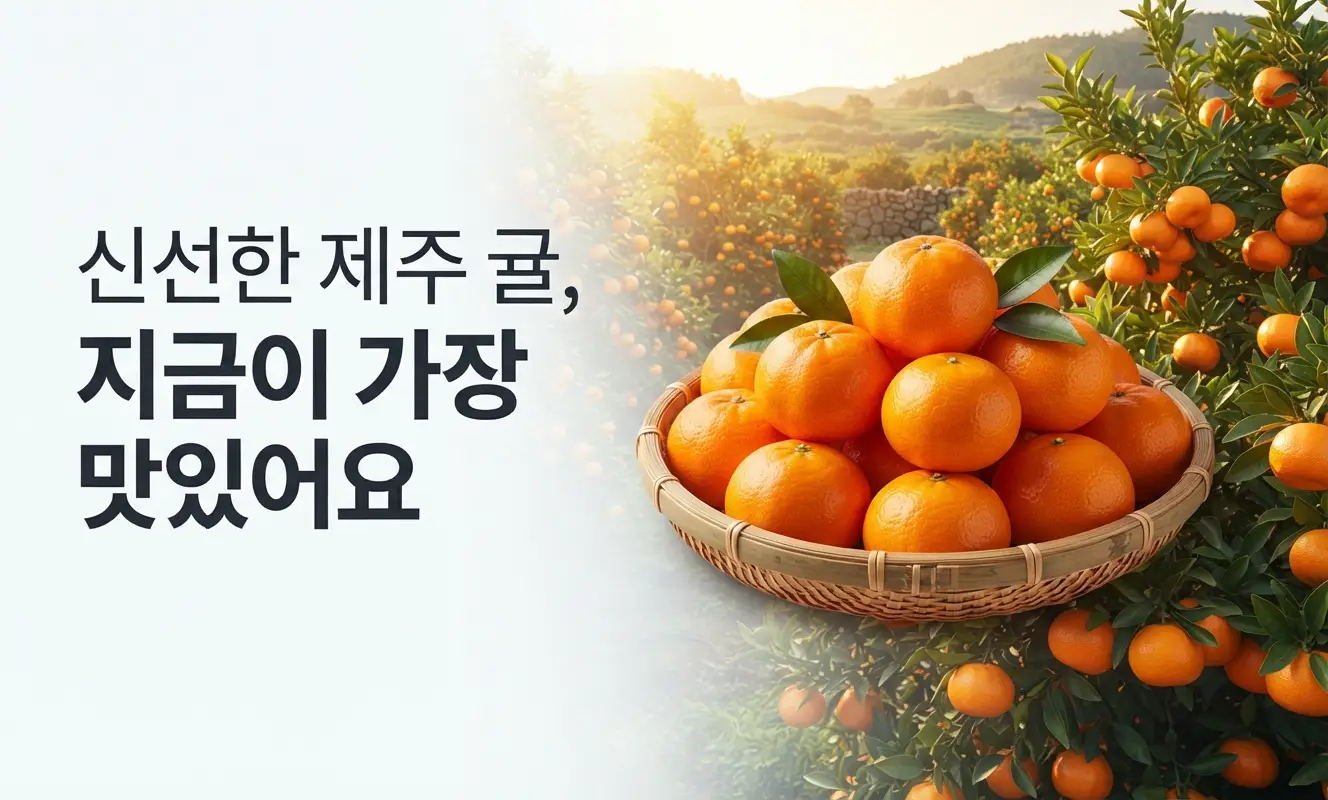 이미지 12