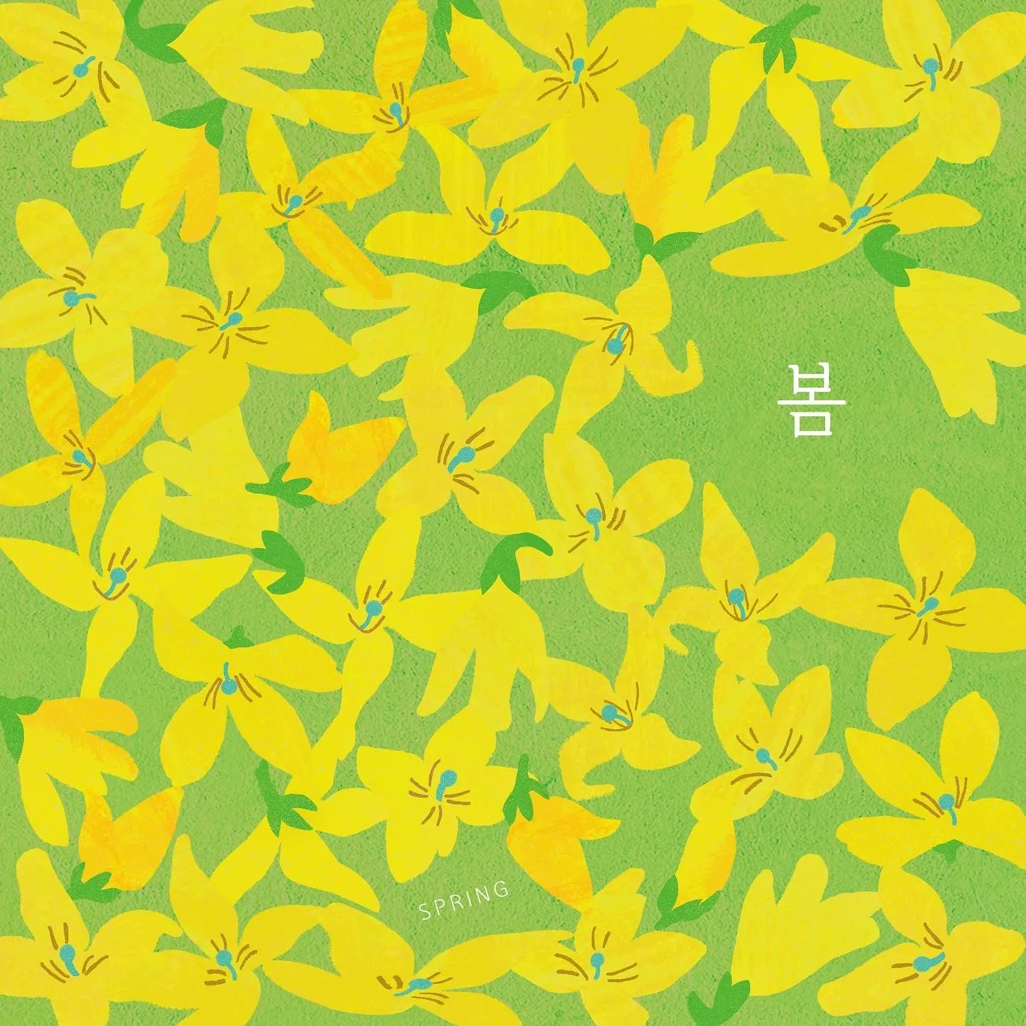 이미지 4