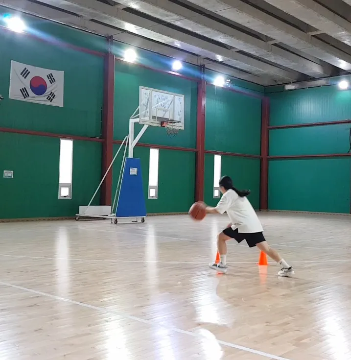 이미지 12