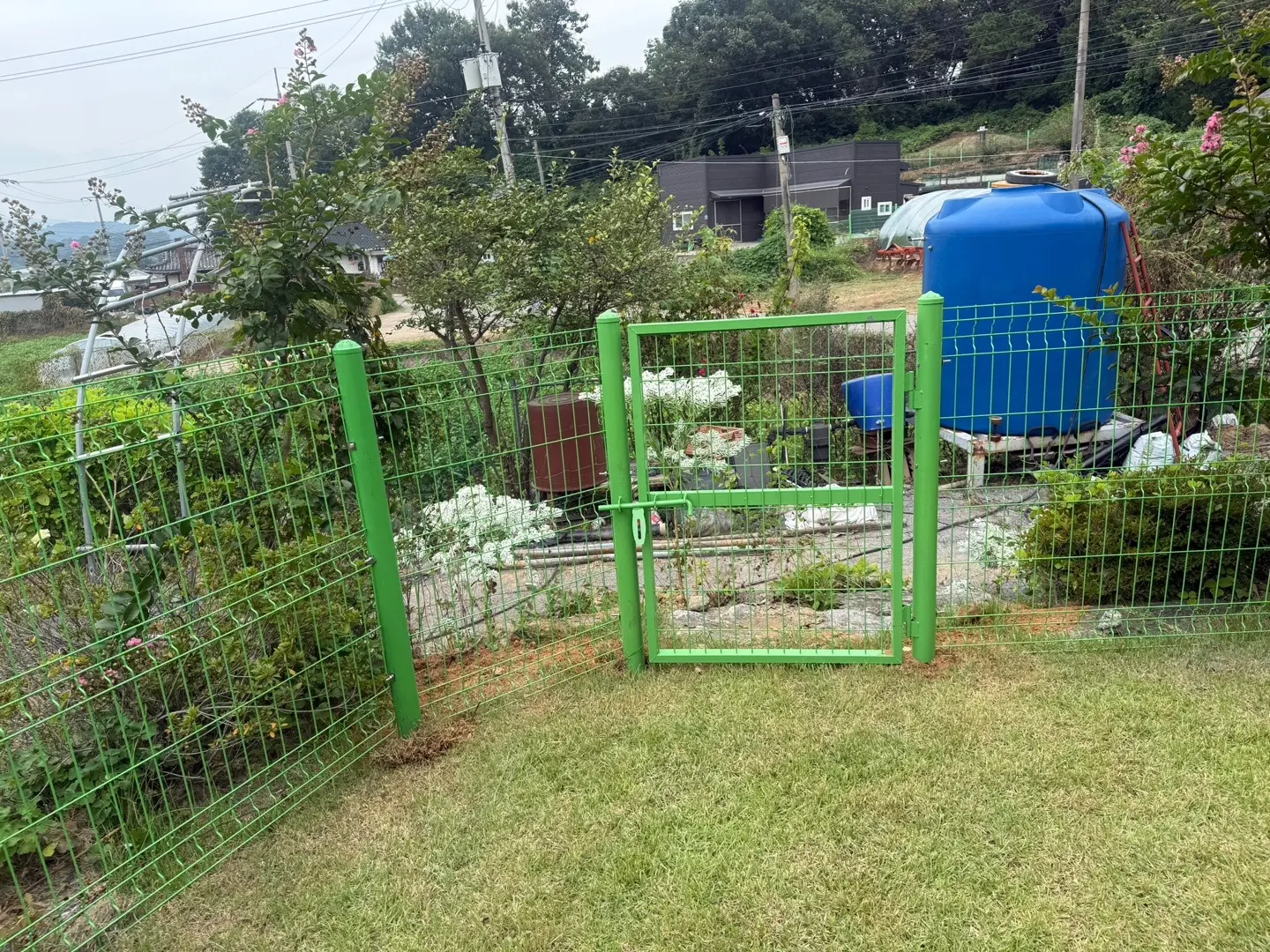이미지 14