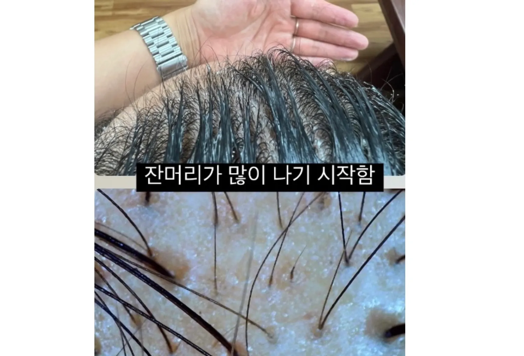 이미지 3
