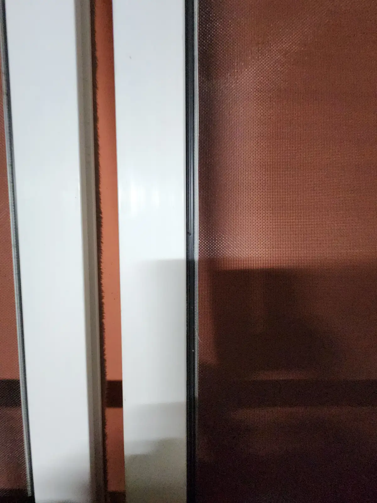 이미지 5