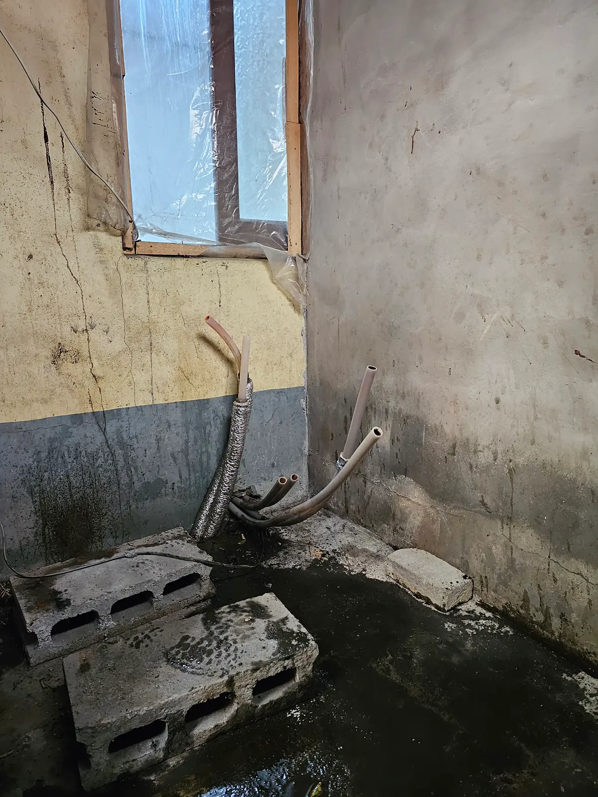 이미지 5