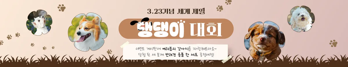 이미지 5