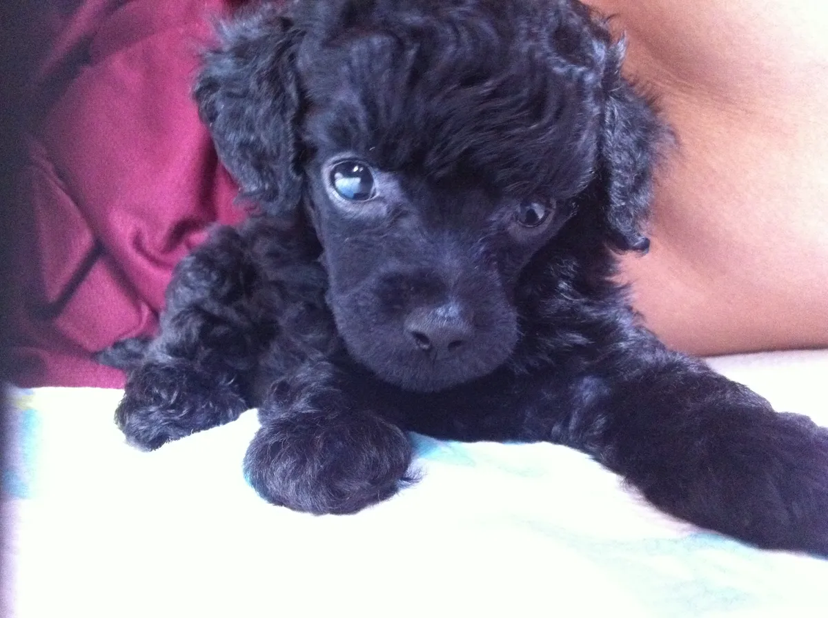 이미지 3