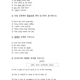 초5 문법 시험지