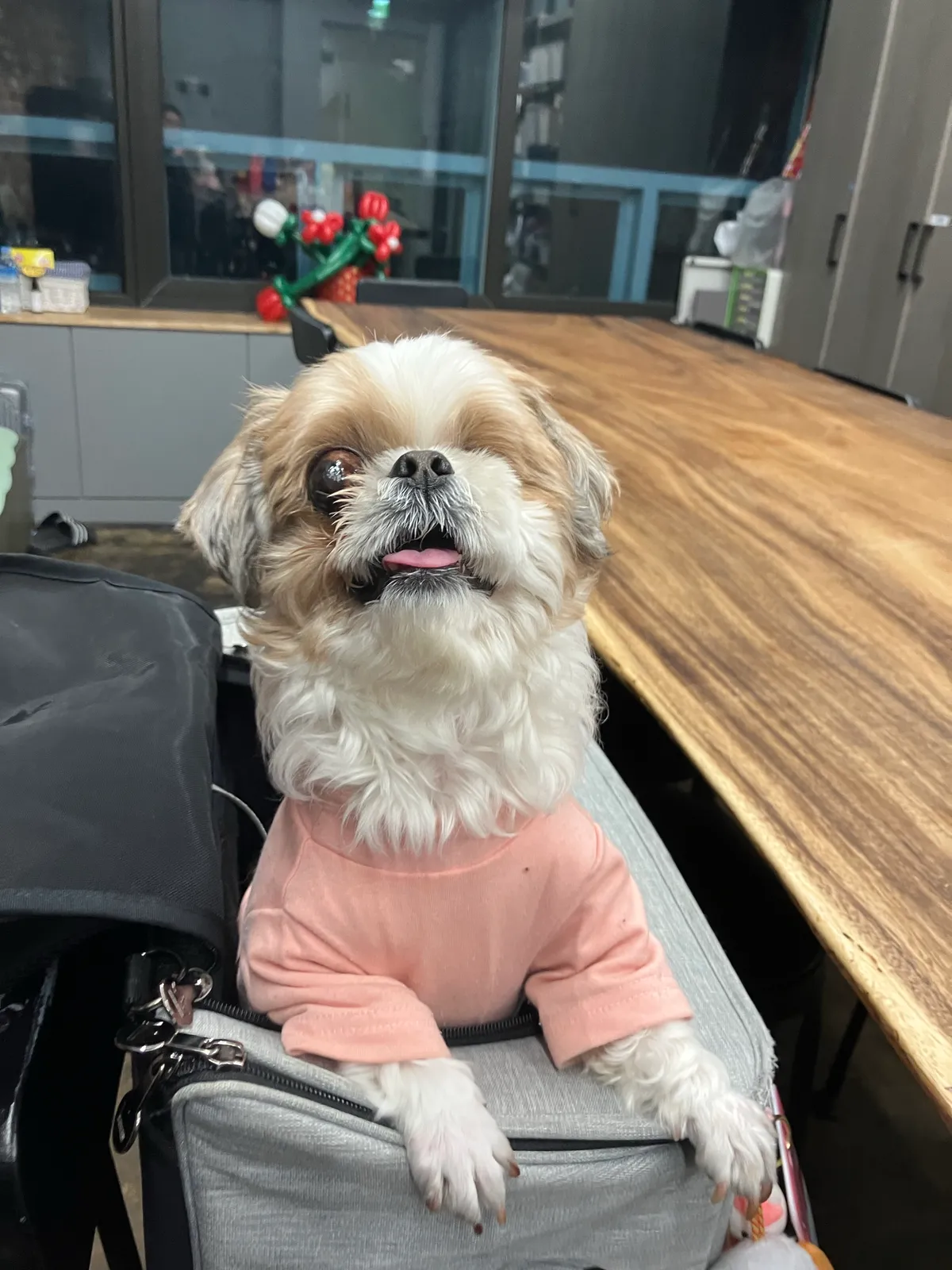 이미지 9