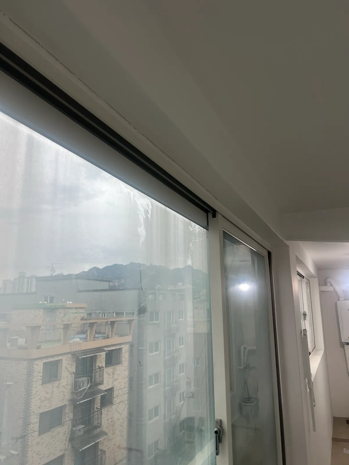이미지 6