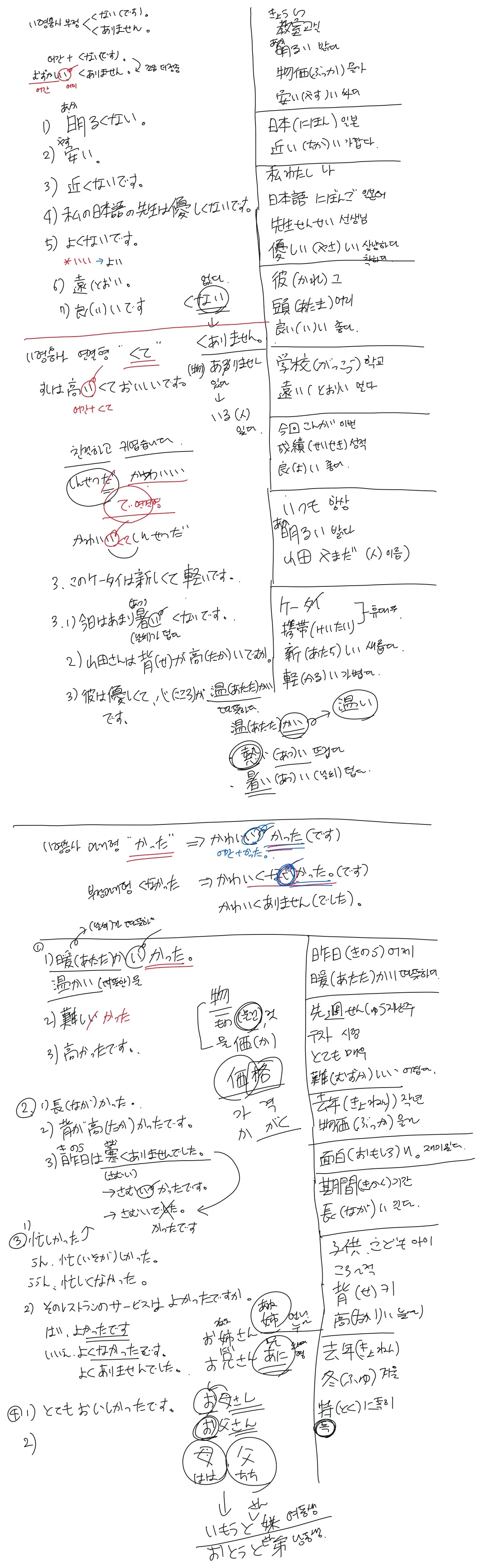 이미지 5