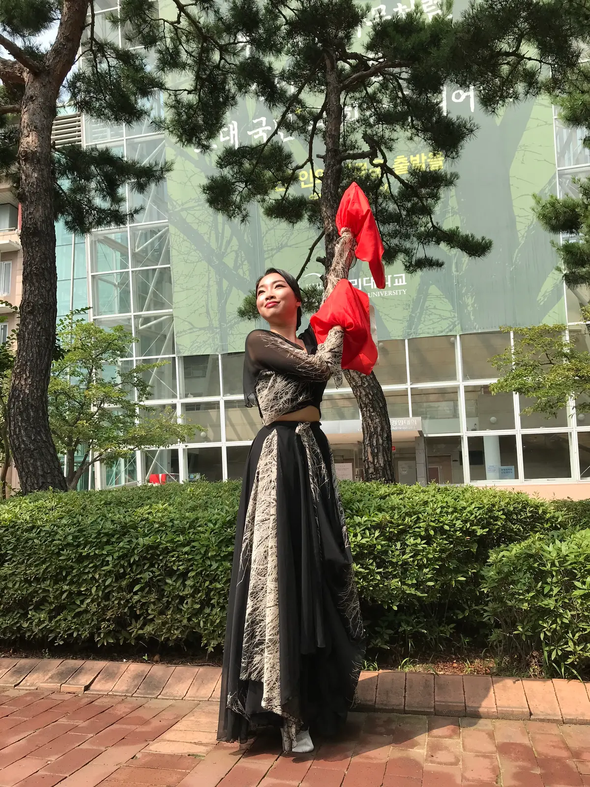 이미지 5