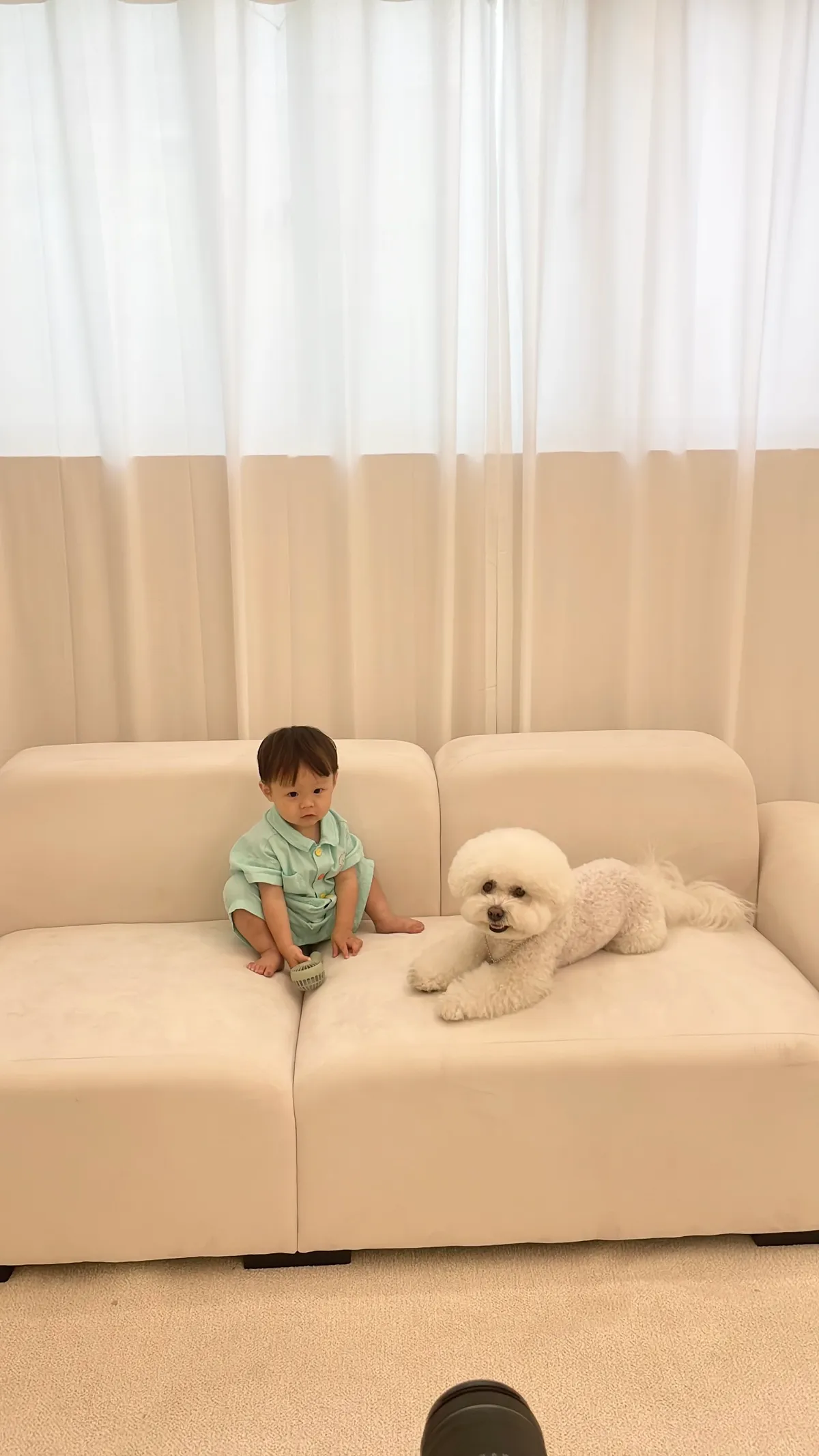 이미지 8