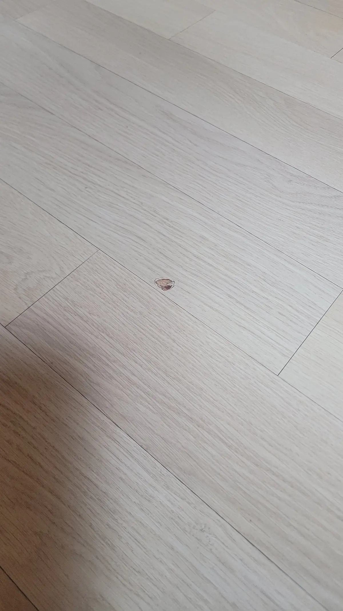 이미지 4