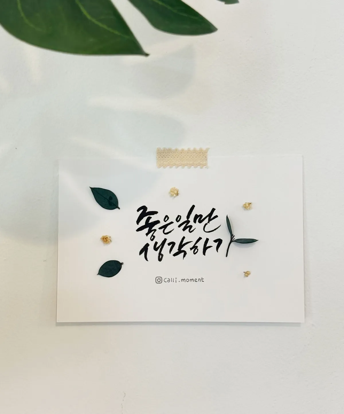 이미지 6