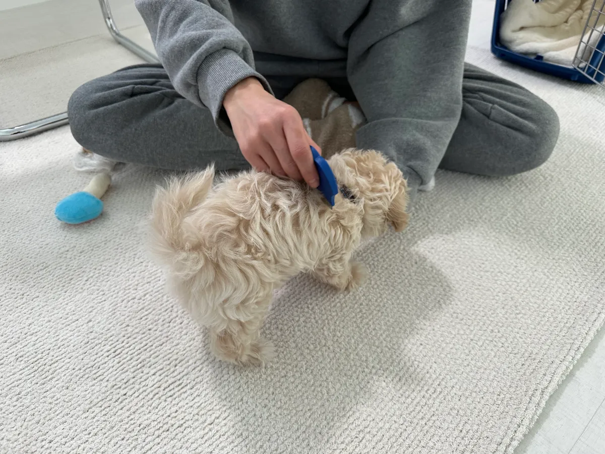 이미지 7