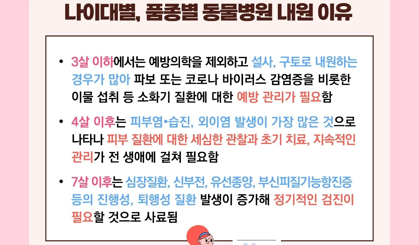 이미지 5
