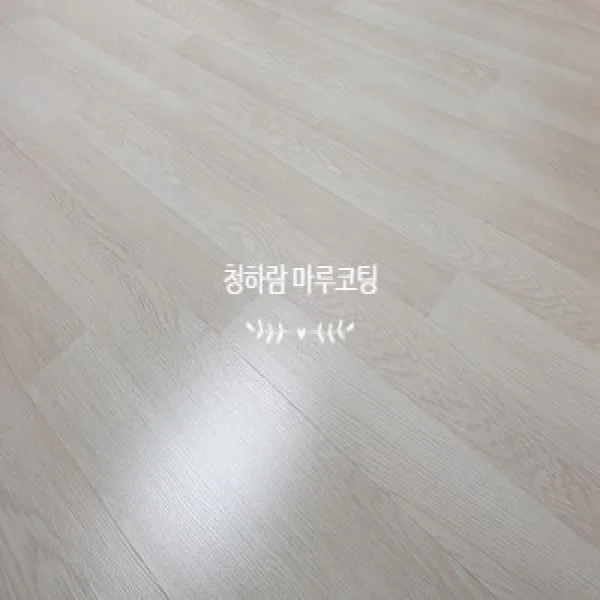 이미지 5