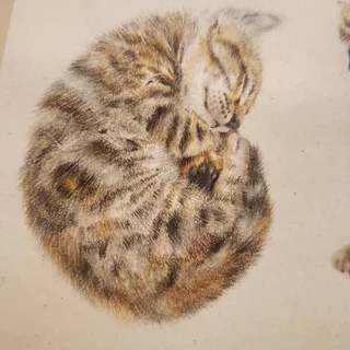보리 _ 색연필