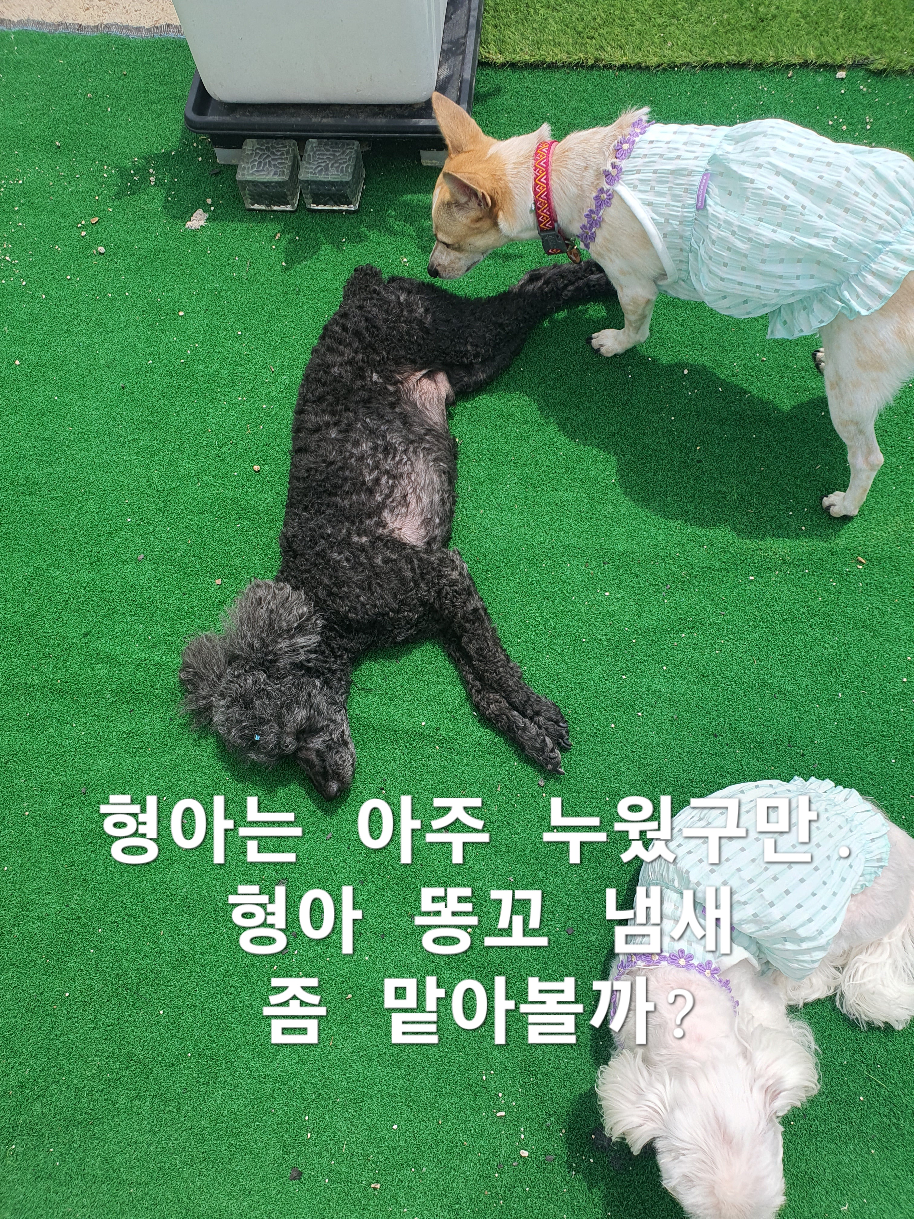 이미지 7