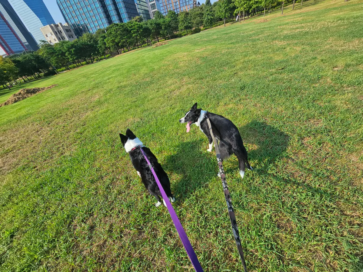 이미지 6