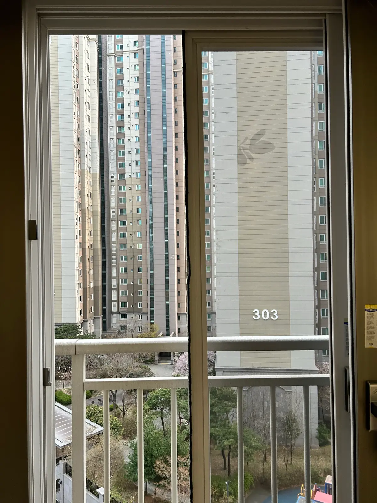 이미지 11