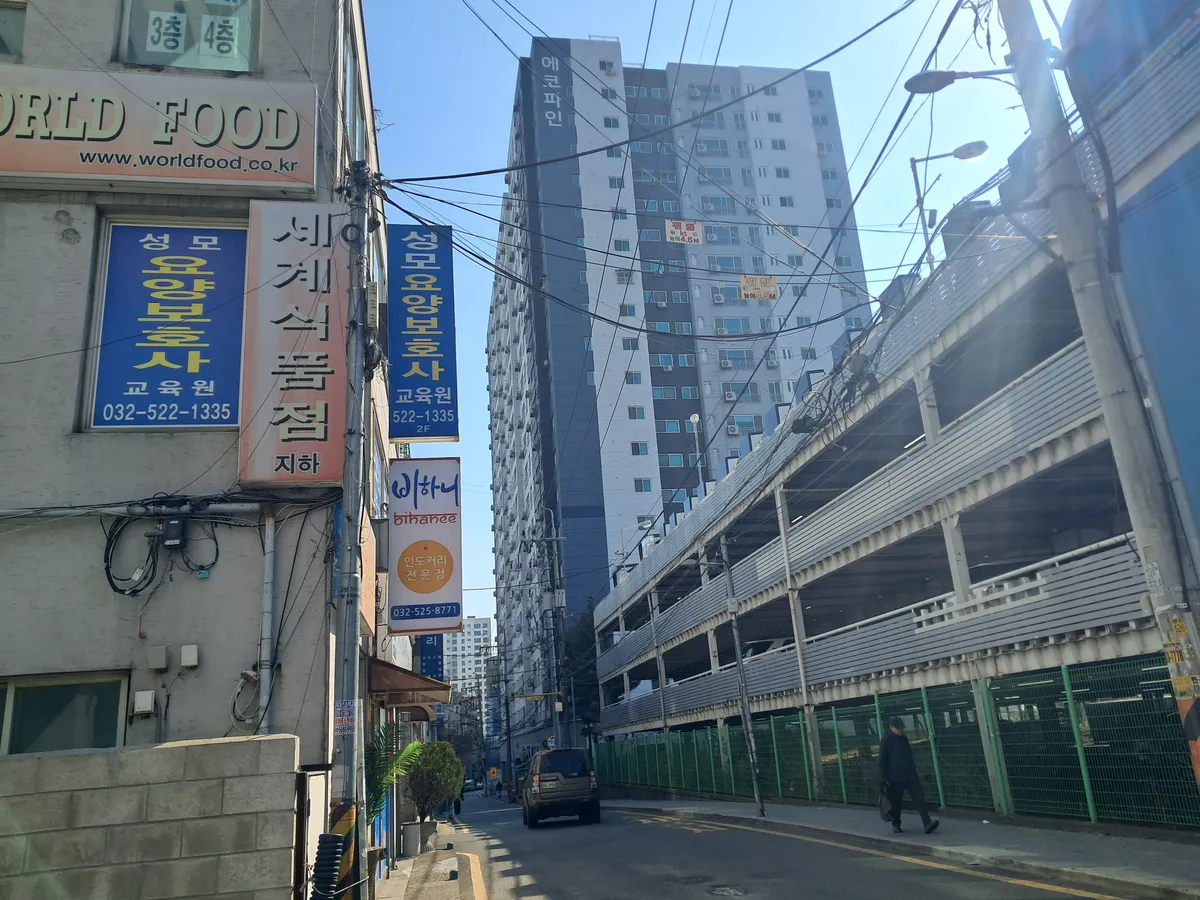 포트폴리오 이미지