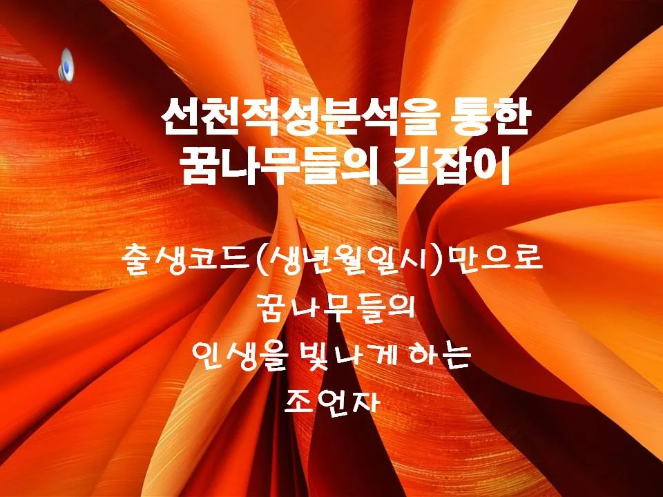 포트폴리오 이미지