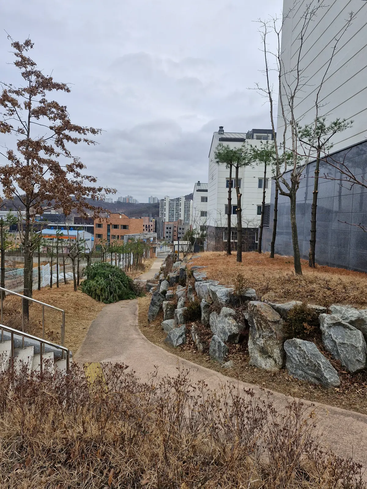 이미지 16