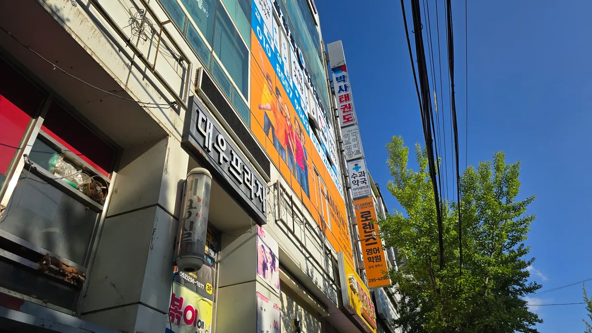 이미지 10