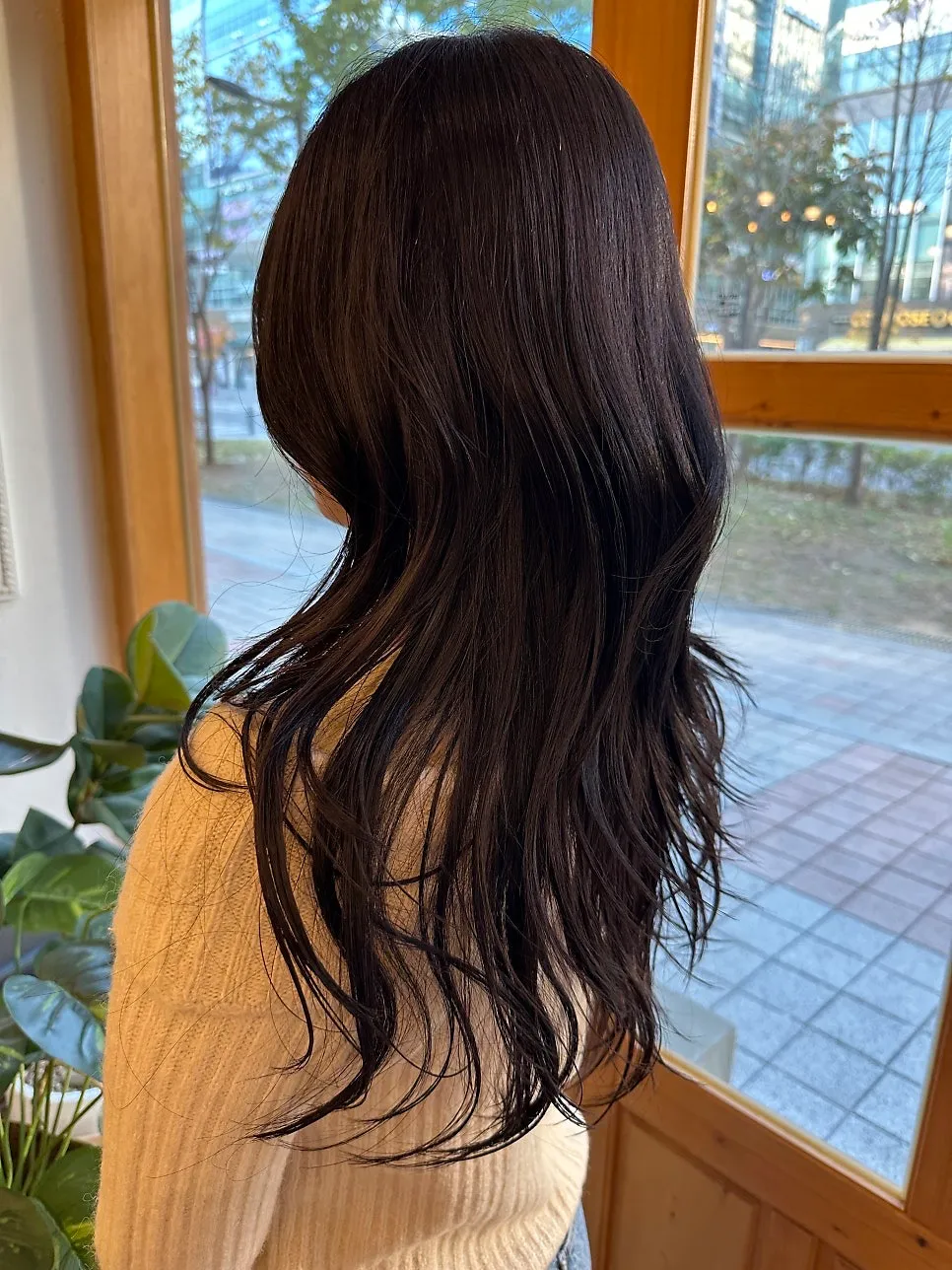 이미지 5