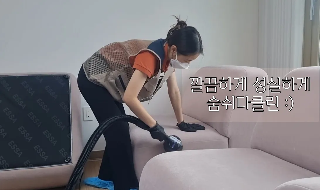 이미지 5