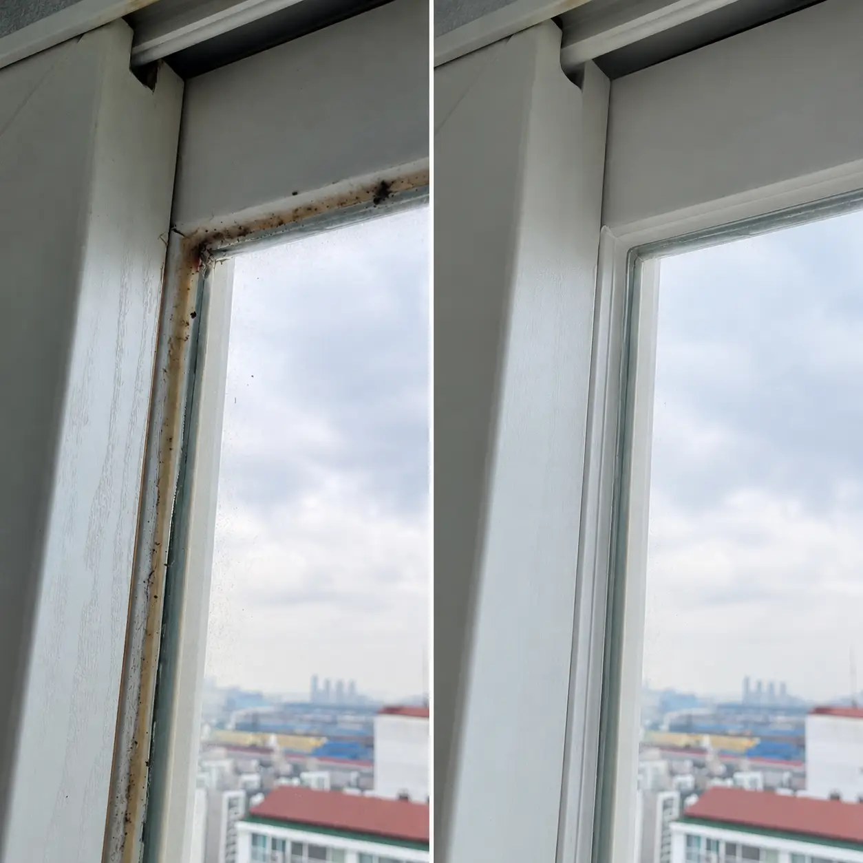 이미지 2