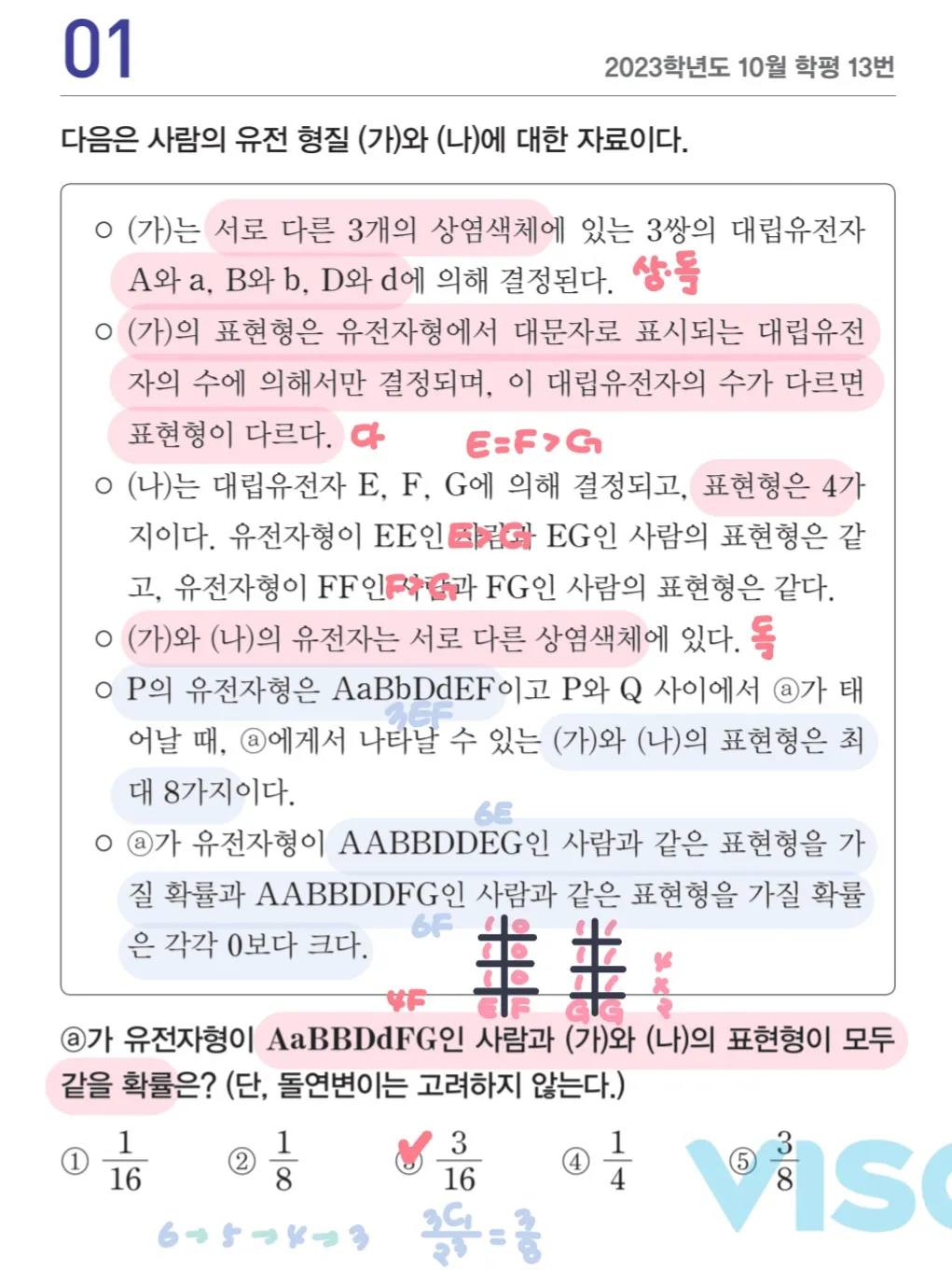 이미지 8