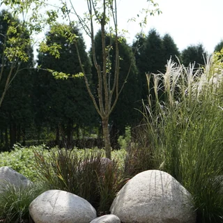 용인 테라스조경