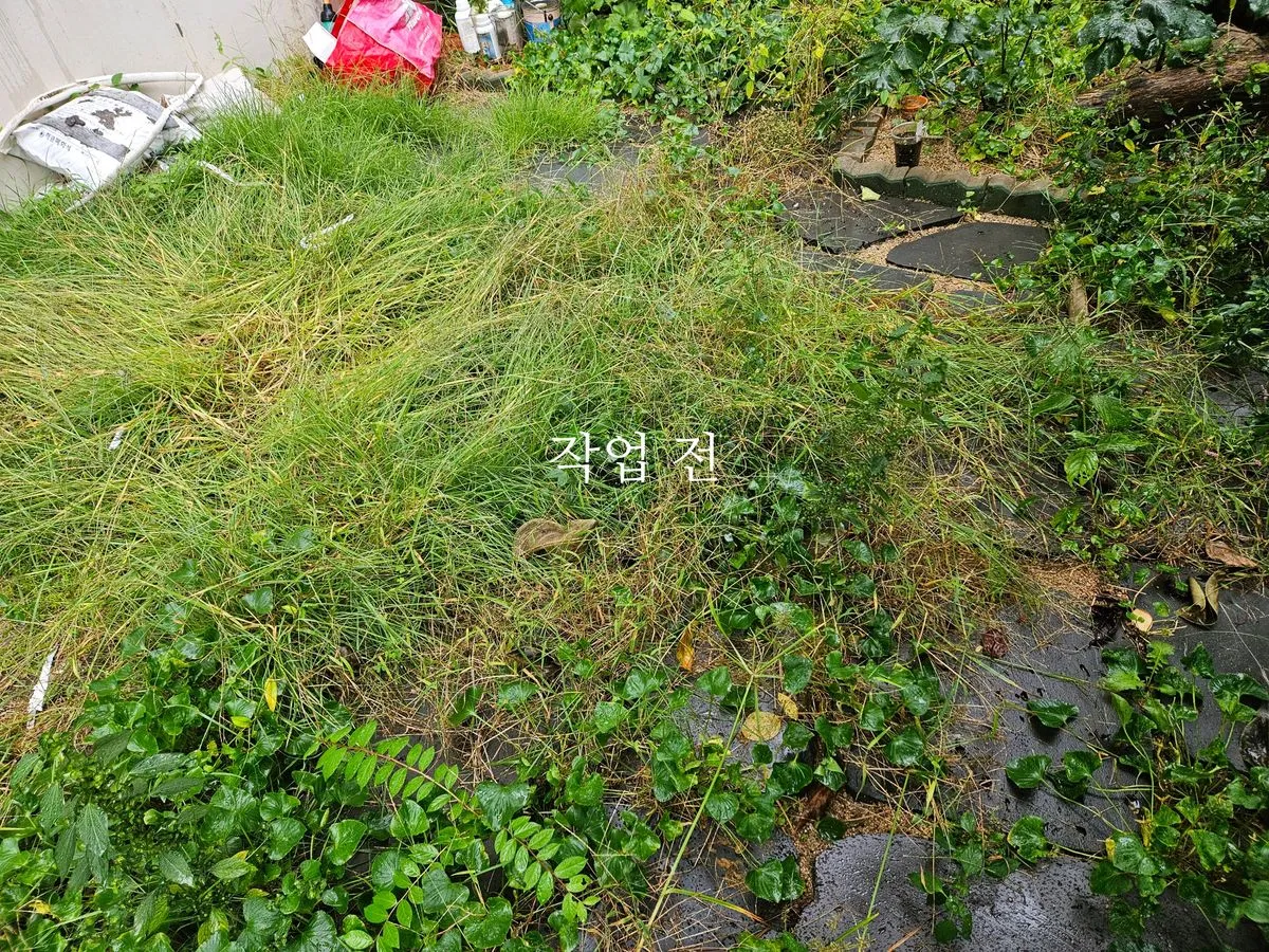 포트폴리오 대표 이미지