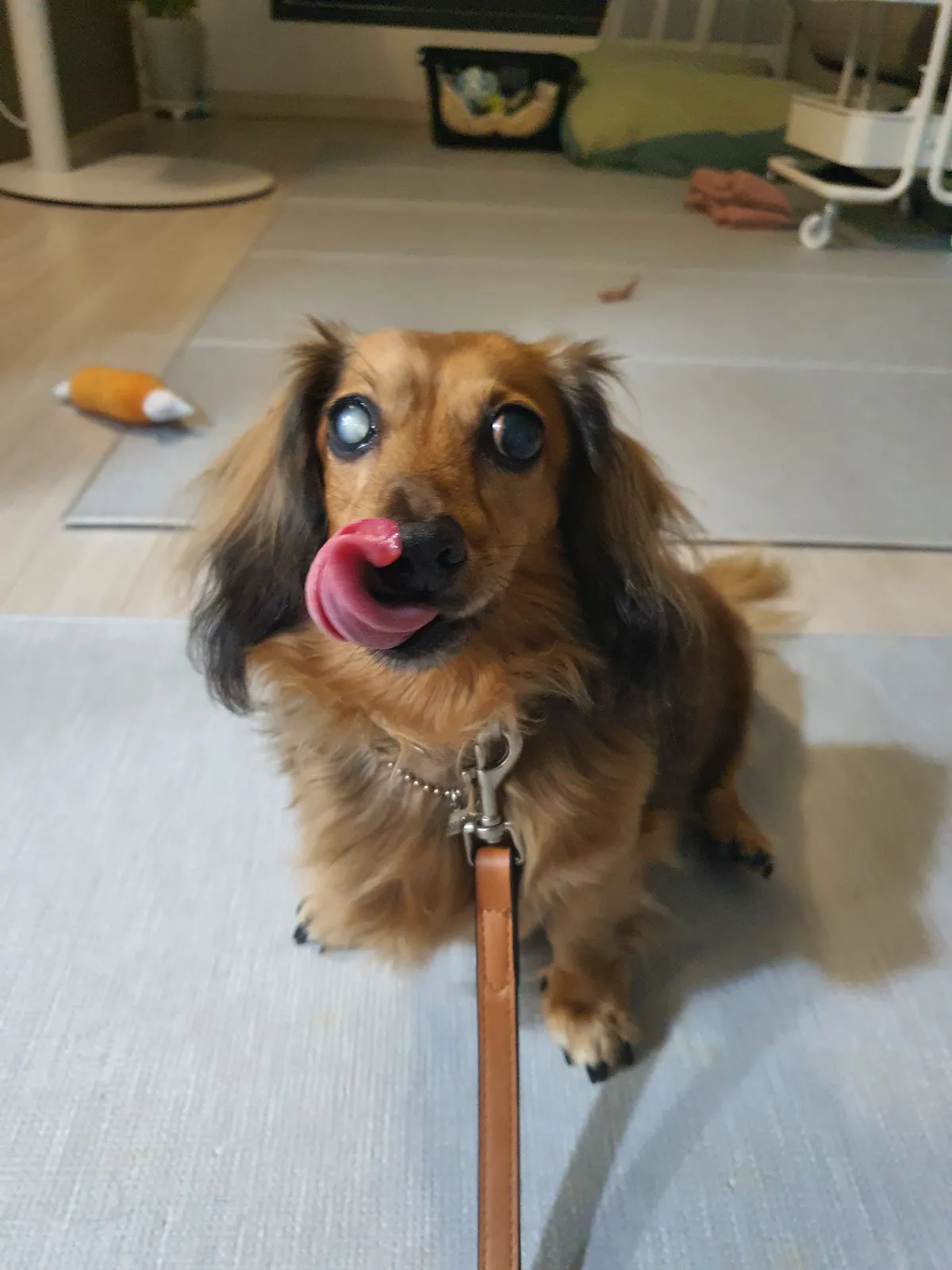이미지 9