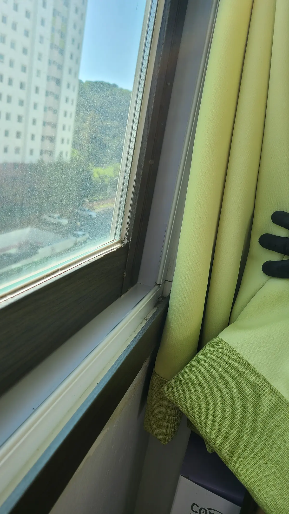 이미지 7