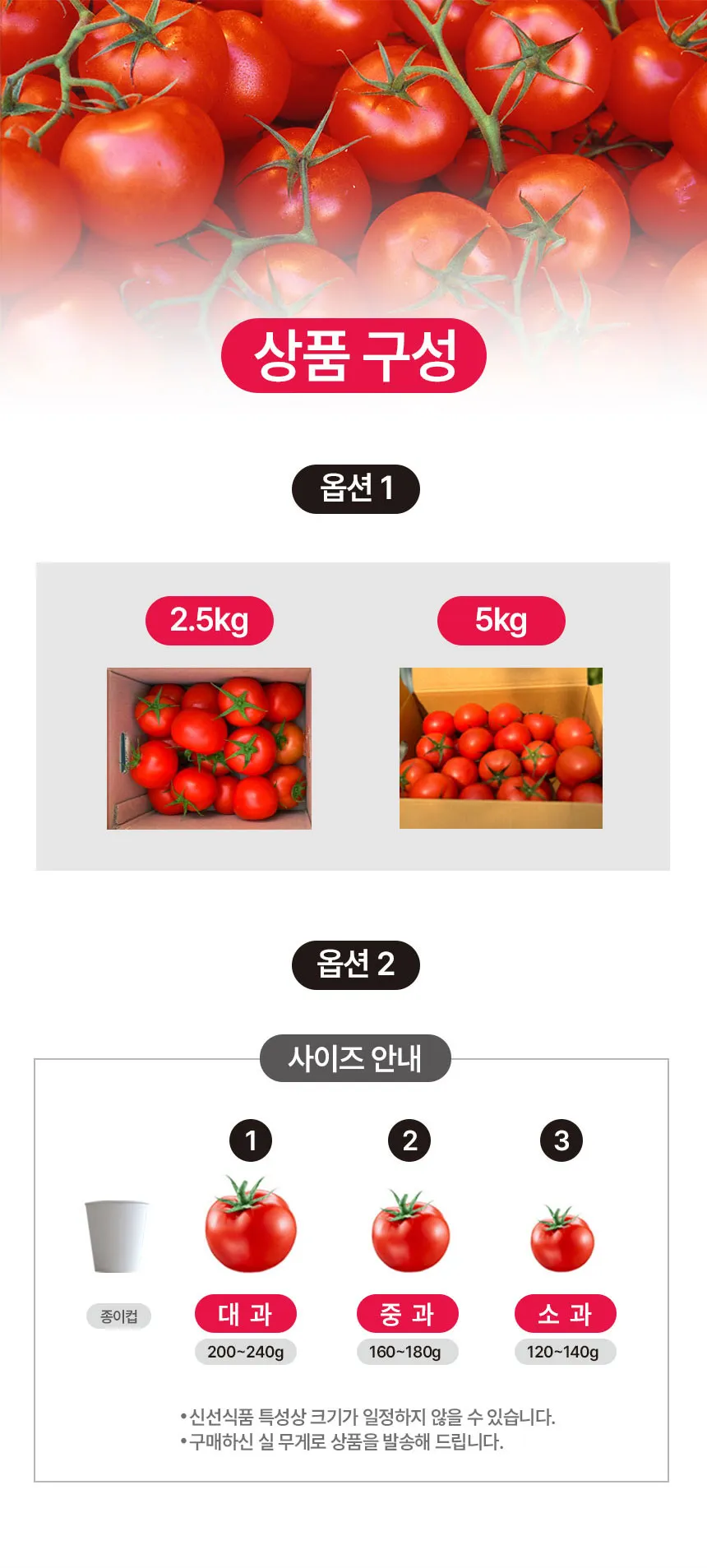 이미지 6