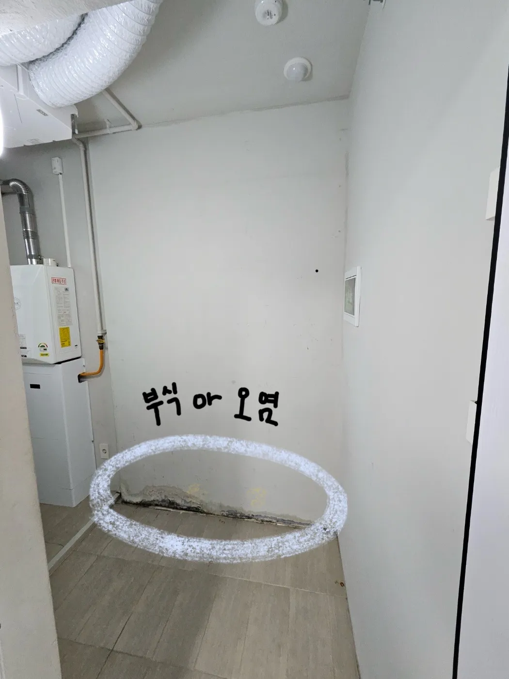 이미지 3