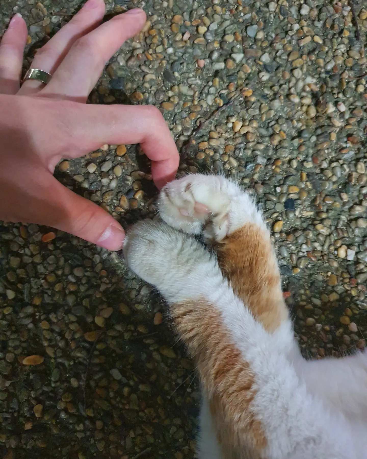이미지 6