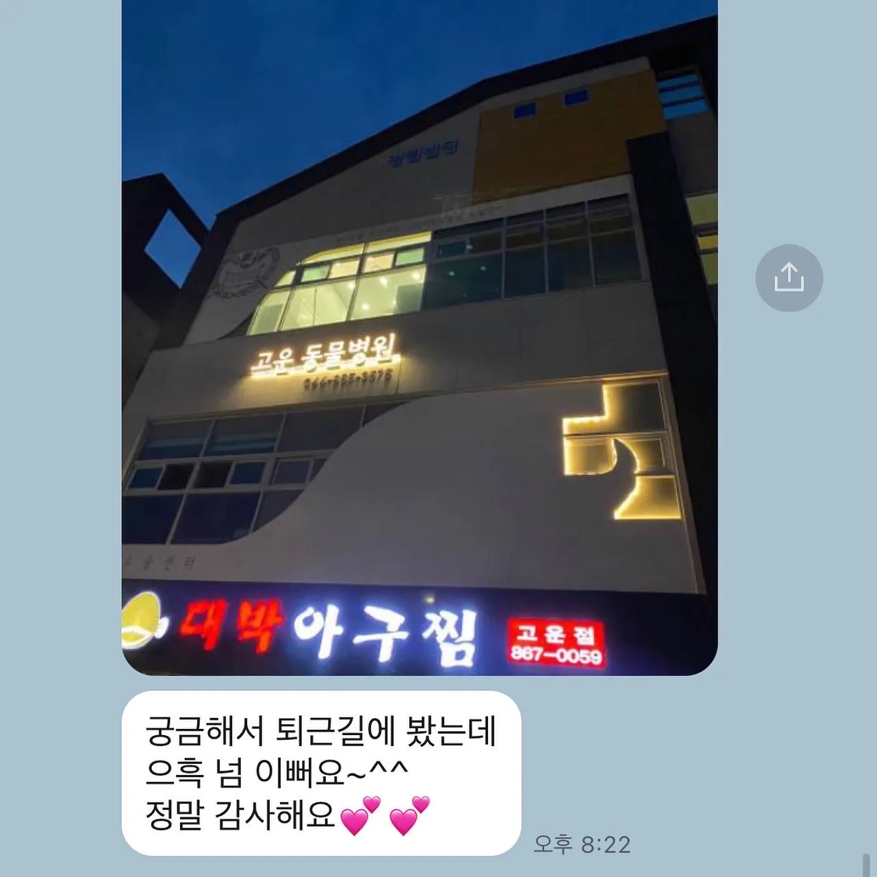 이미지 11